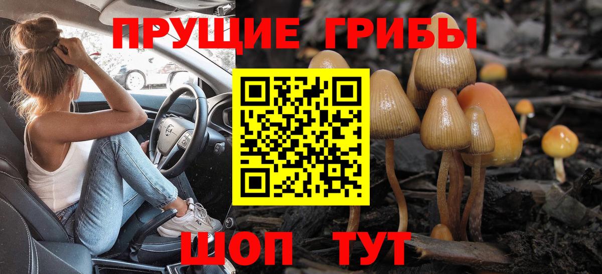 Алексин  наркота  Псилоцибиновые грибы мицелий  Вход с VPN  Псилоцибиновые грибы Magic Shrooms 