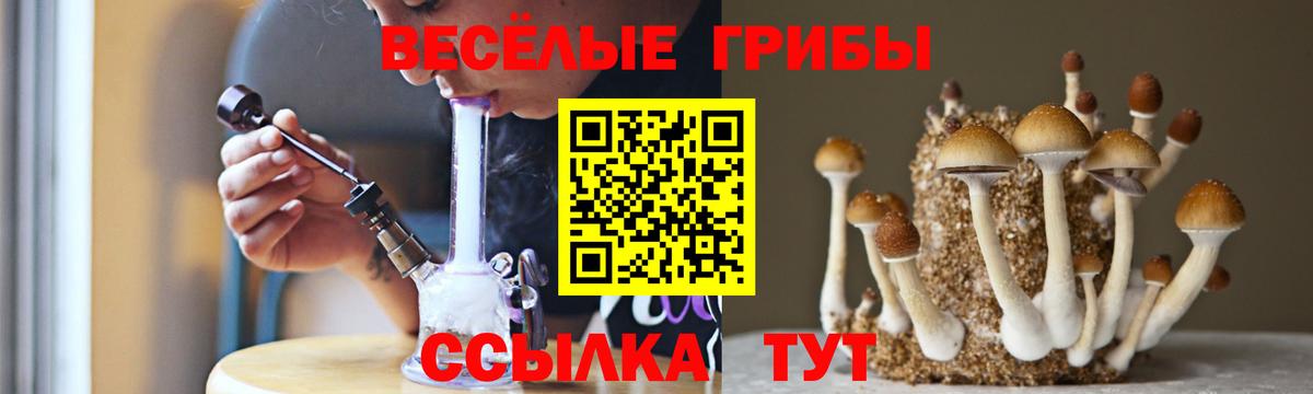 Псилоцибиновые грибы Psilocybe Алексин